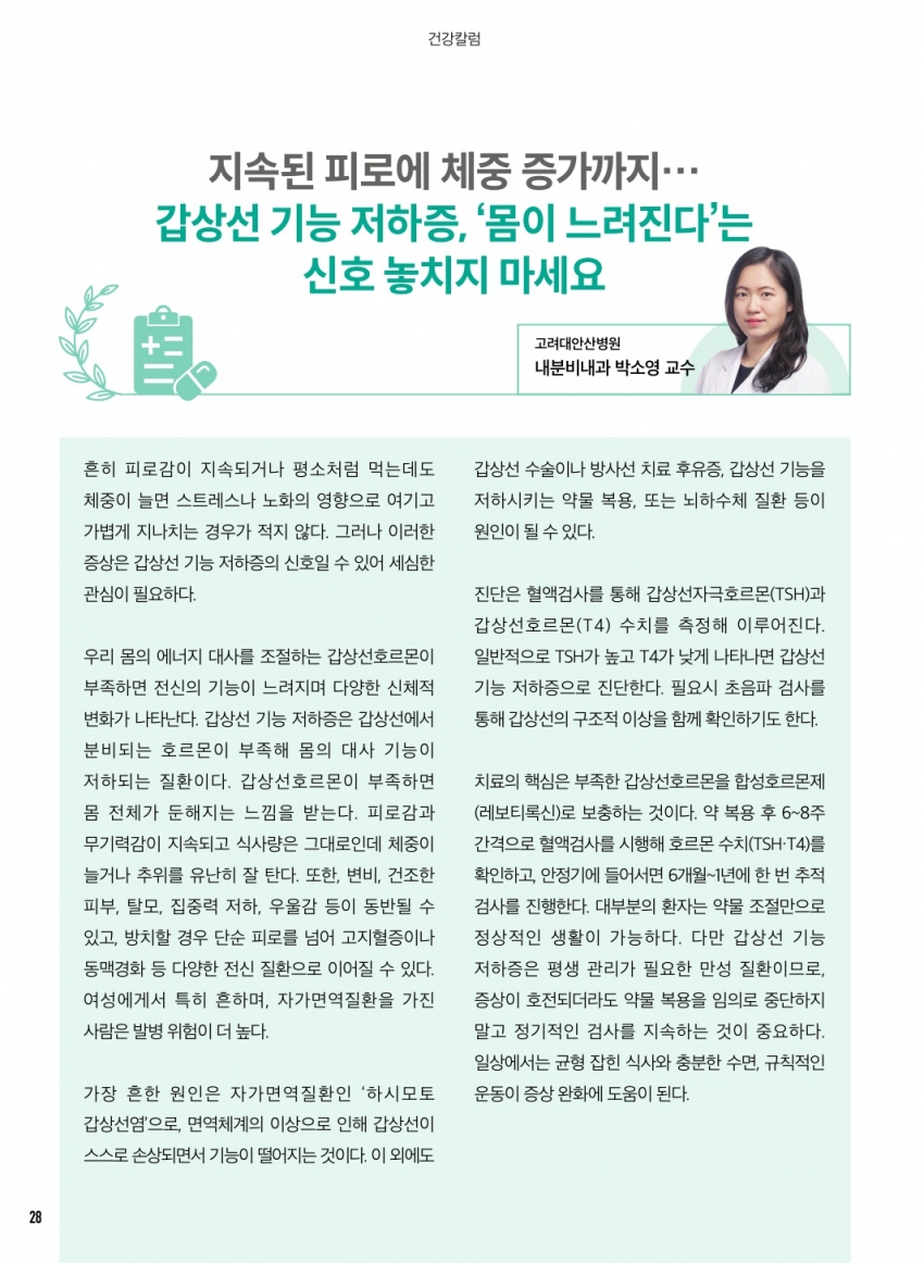 12월 칼럼(건강/세무)
