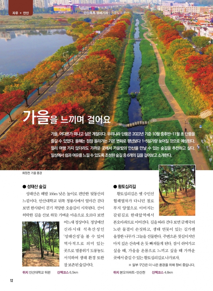 가을을 느끼며 걸어요