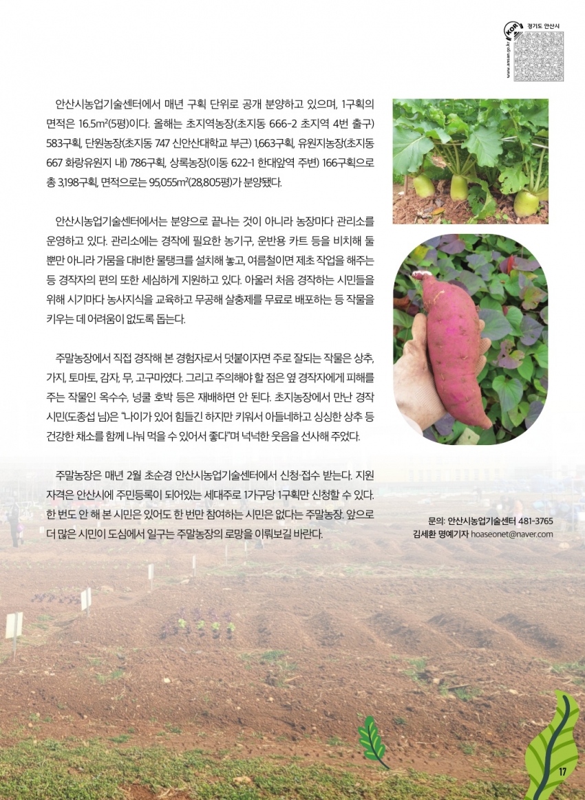 도시에서 일구는 주말농장