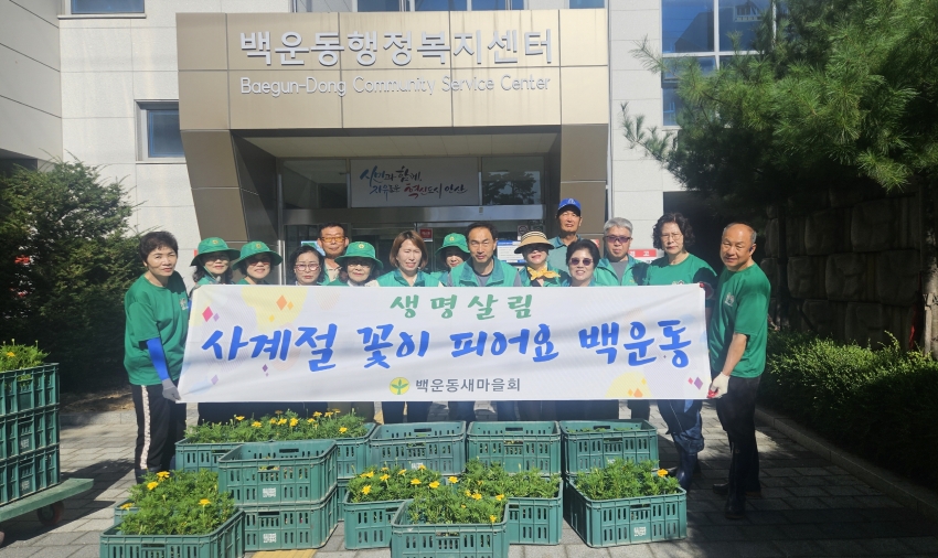 안산시 백운동 새마을회, 신선한 가을꽃 화단 조성