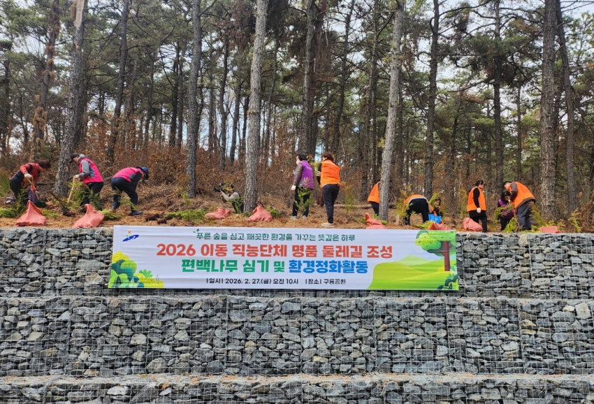 안산시 이동, 구룡공원 명품 편백나무 숲길 조성
