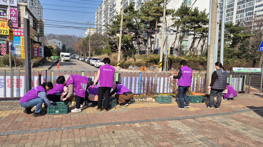 안산시 사이동 통장협의회, 봄꽃 식재로 마을에 봄기운 더해