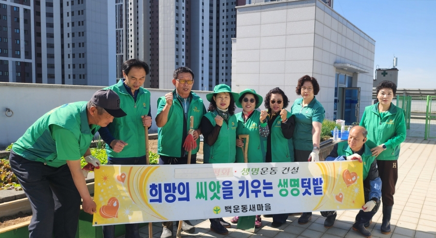 안산시 백운동 새마을회, 백운동 옥상텃밭 조성