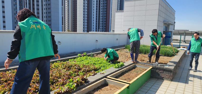 안산시 백운동 새마을회, 백운동 옥상텃밭 조성