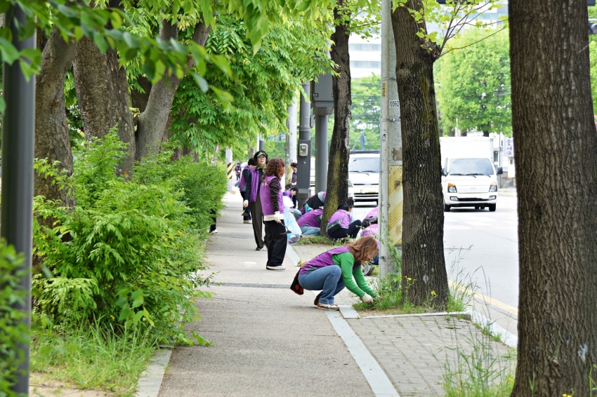 안산시 사이동 통장협의회, 깨끗한 우리동네 만들기 앞장서