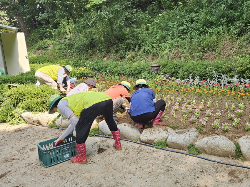 안산시 고잔동, 여름꽃 마을정원 조성… 마을에 활력 더해