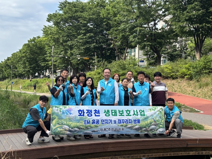 안산시 와동 주민자치회, 화정천에 EM흙공 던지고 미꾸라지 방류