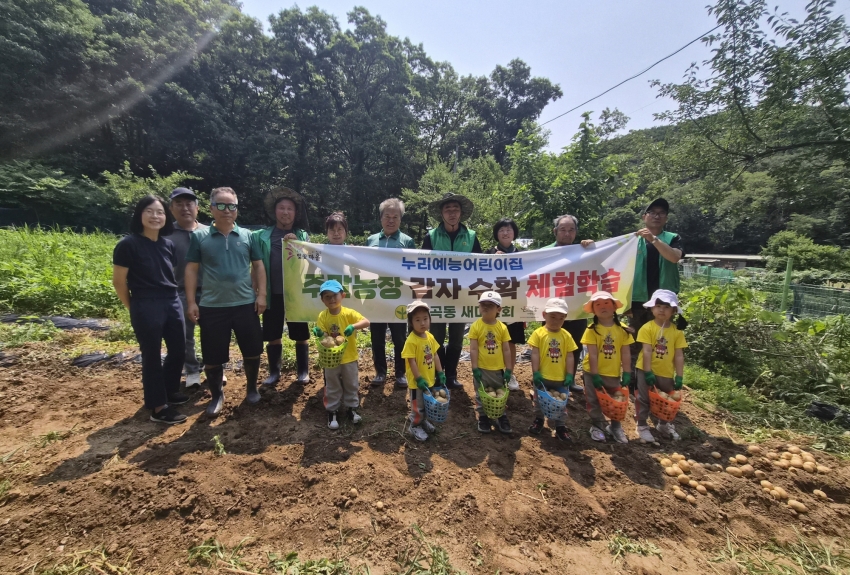 안산시 부곡동 새마을회, 감자 수확과 어린이 감자캐기 체험으로 나눔 실천