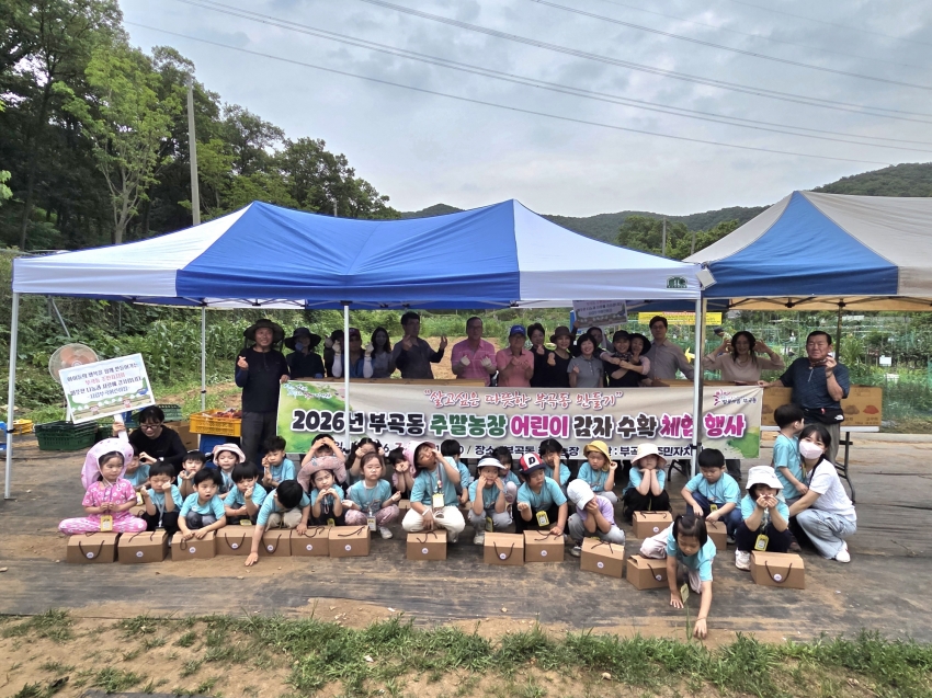 안산시 부곡동 주민자치회, 주말농장 어린이 감자수확 체험 행사