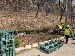 안산시 고잔동, 봄꽃 마을정원 조성 … 도심 속 봄 향기 가득