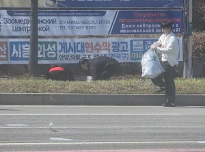 안산시, 성안고 사거리 도로 적재물 낙하 신속 수습… 시민 도움 이어져