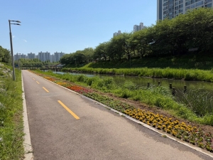 안산시, 안산천·화정천 산책로 봄꽃길 조성… 시민 발길 이어져