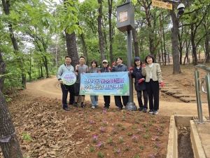 안산시 선부1동 꽃순이들, 공모사업 본격 추진… 선부제2공원 꽃잔디 식재