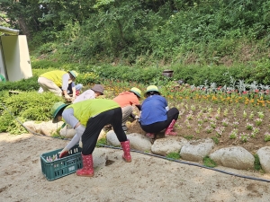 안산시 고잔동, 여름꽃 마을정원 조성… 마을에 활력 더해