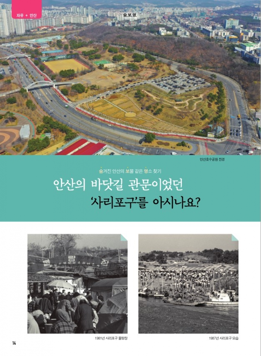 사리포구