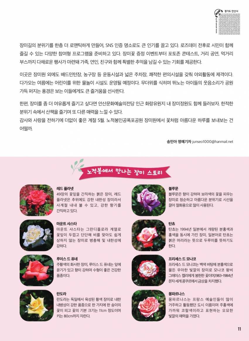 사랑이 피어나는 로즈데이, 노적봉인공폭포공원 장미원에서의 특별한 하루