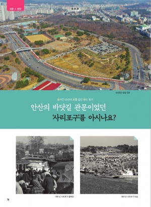사리포구