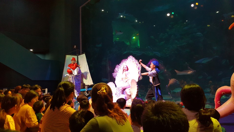 단원구, 방문학습아동을 위한 「해양생태계 체험」